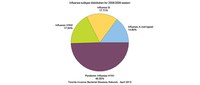 Influenza subtype distribution for 2008/2009 season